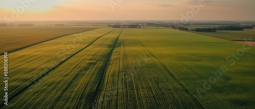 Panoramic view from the height of green fields and meadows in summer.Aerial view. Panoramic shot. Generative AI