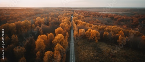 Bird's-eye view of the road in the middle of the forest.Aerial view. Panoramic shot. Generative AI