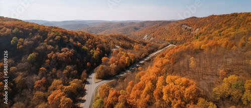 Bird's-eye view of the road in the middle of the forest.Aerial view. Panoramic shot. Generative AI photo