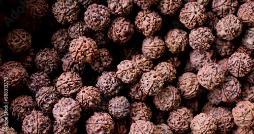 A close-up shot of Rudraksha seeds from the Elaeocarpus gangeticus tree photo