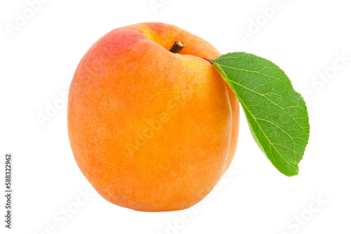 Fotografia ripe apricots isolated