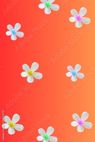 abstract background with flowers on a colored background  vector illustration.