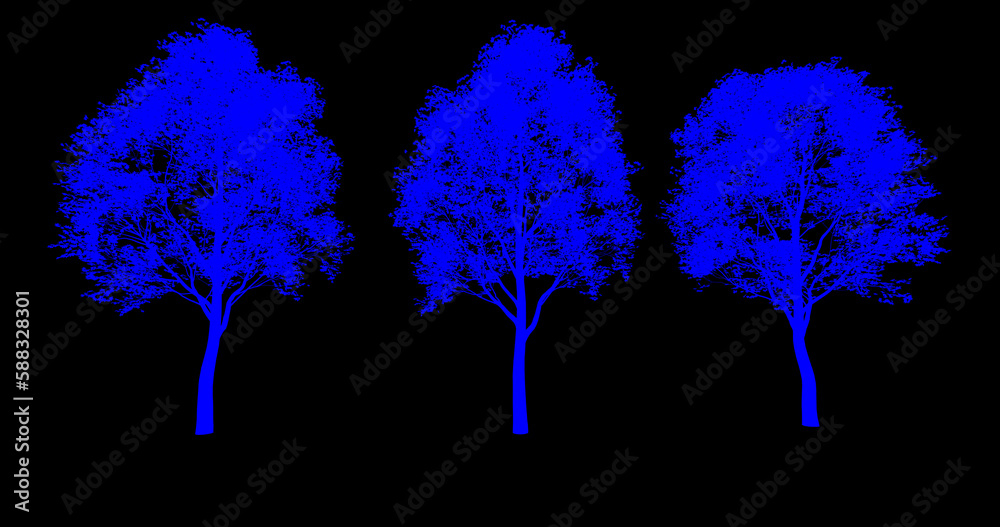 drzewo liściaste, kolorowy kształt na czarnym tle, render 3d, rendering , do wizualizacji i grafiki - obrazy, fototapety, plakaty 