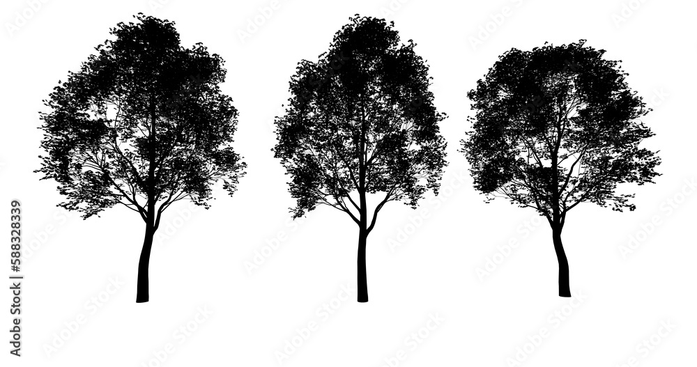 kontur drzewa liściastego, czarny kształt na białym tle, render 3d, do wizualizacji i grafiki - obrazy, fototapety, plakaty 