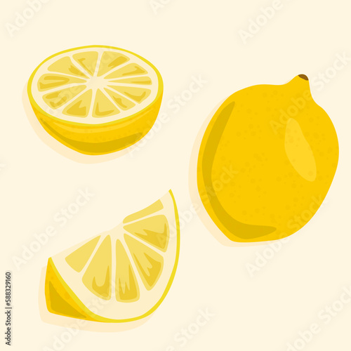 Lemon whole, cut in half and slices. Vector food icons. Useful fruit.