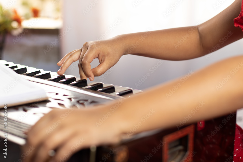 Fototapeta premium Harmonium - a hand made wooden musical instrument