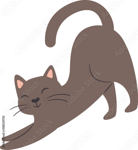 Cat Domestic Pet
