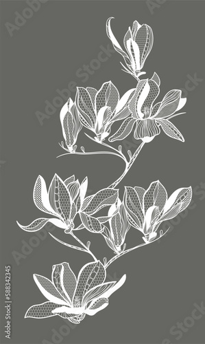 lace flower magnolia, bouquet, vector illustration