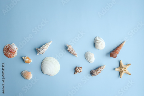 Seashells, Starfish and corals on blue background, top view, copy space. Summer vacation or holiday concept