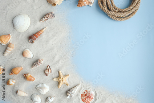 Seashells, Starfish and corals on blue background, top view, copy space. Summer vacation or holiday concept
