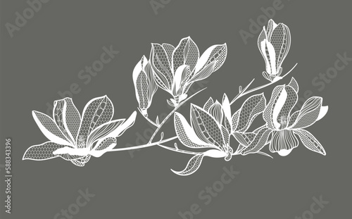 lace flower magnolia, bouquet, vector illustration