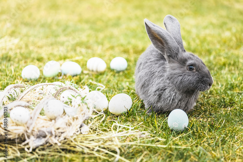 Easter decoration, small bunny with eggs on grass. Holiday celebration