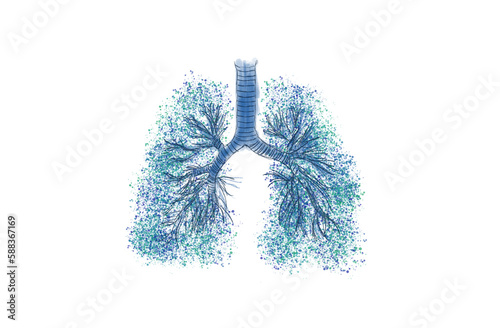 Bronchial tree (respiratory tree)  multiple-branched trachea, bronchi and lungs. Pulmonary and respiratory medicine illustration. Hand drawing with gouache and paint sprinkles isolated white.