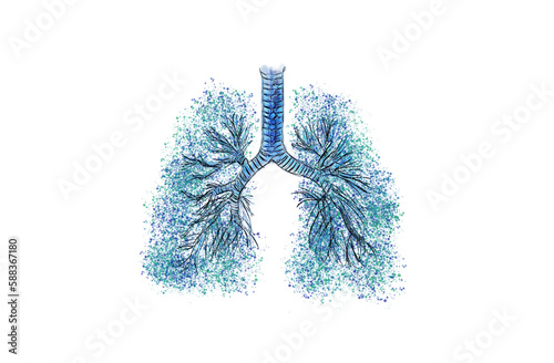 Lungs respiratory bronchial tree multiple-branched trachea, bronchi and lungs. Pulmonary and respiratory artistic medicine illustration. Hand drawing with gouache and paint sprinkles isolated white.