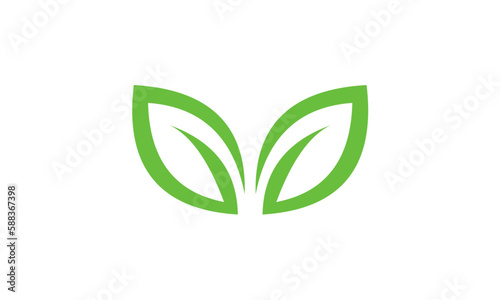 green leaf icon