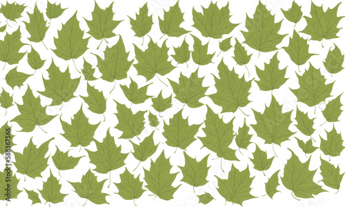 green leaves pattern, transparent