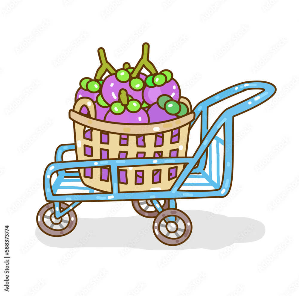 Set Mangosteen on Background Vector.