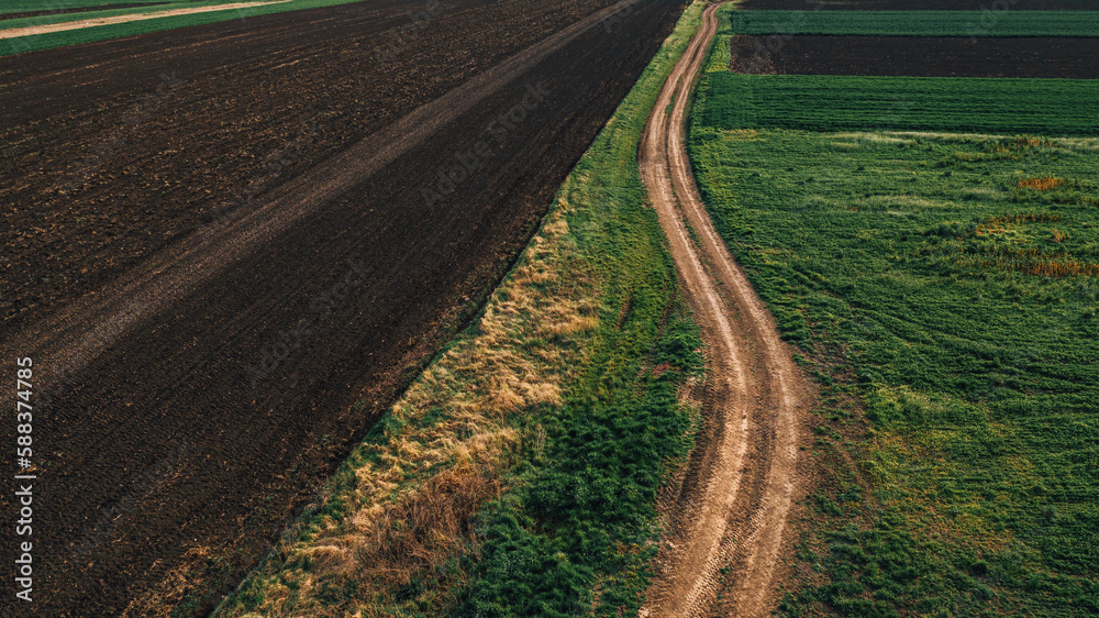 Country dirt road between cultivated fields in diminishing perspective