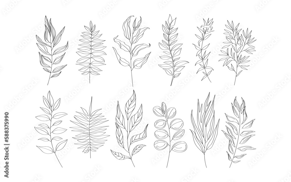 vector hand drawn floral decorative elements vector hand drawn floral decorative elements