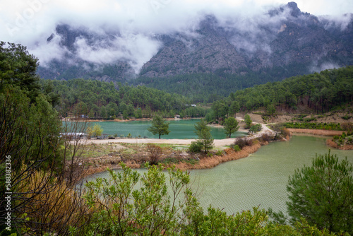 Beautiful lake in the forest