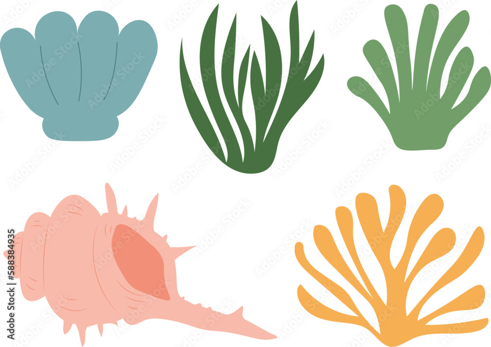 Sea shell starfish coral algae vector illustration Sea shell starfish coral algae vector illustration