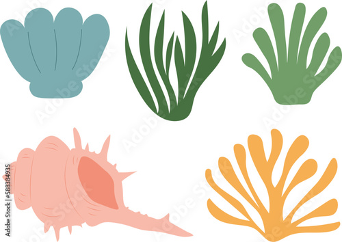 Sea shell starfish coral algae vector illustration	