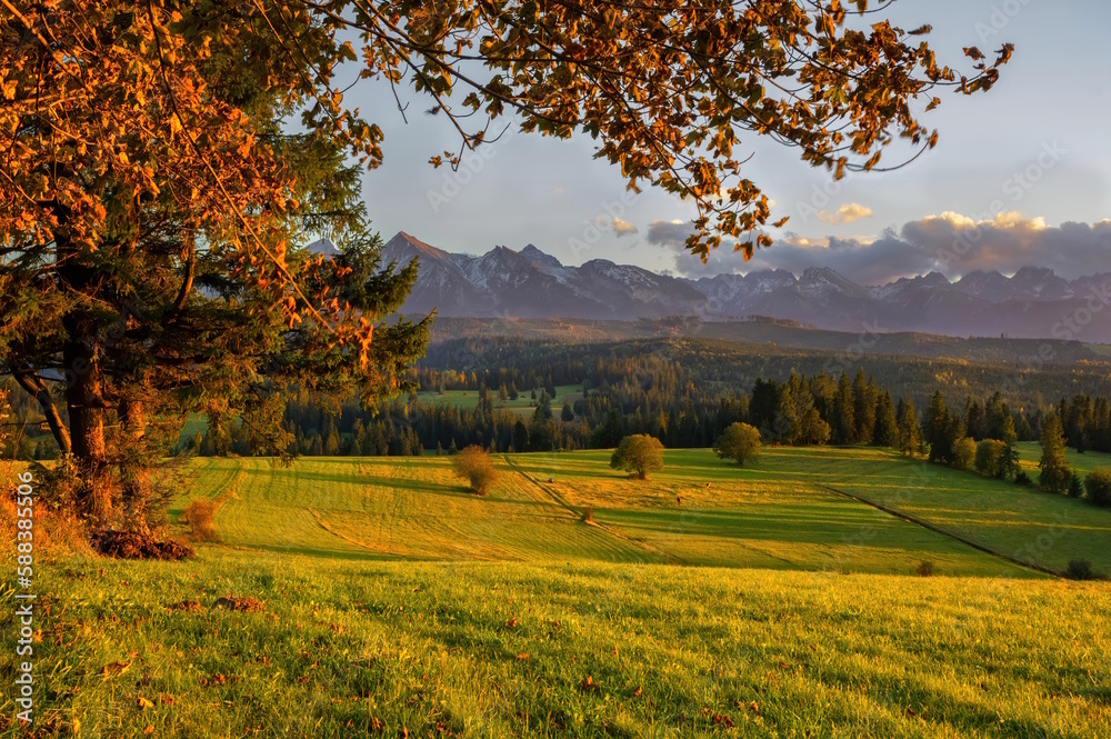 Beautiful autumn with red trees under the Tatra Mountains at sunrise. Walks in nature, healthy lifestyle.