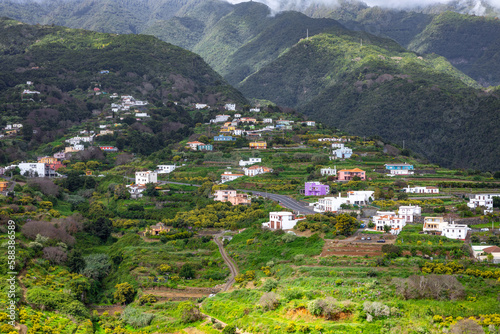 La Palma Island. Green Canyon Overgrown With Dense Vegetation. Tropical Exotic Landscape of La Palma. Canary Islands, Spain.