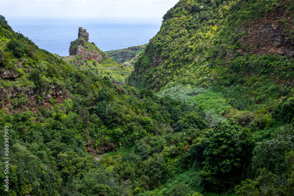 La Palma Island. Cubo de La Galga Trail. Tropical Exotic Landscape of La Palma. Canary Islands, Spain.