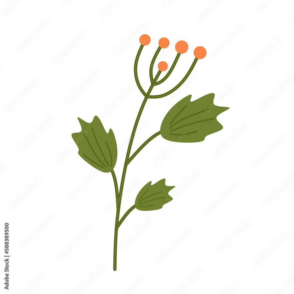 Hand drawing of Fragrant Dill flower in flat style. Dill with stem, Green herb Agriculture isolated on white background. Spices, seasoning, flavorings and kitchen herb concept. vector illustration Hand drawing of Fragrant Dill flower in flat style. Dill with stem, Green herb Agriculture isolated on white background. Spices, seasoning, flavorings and kitchen herb concept. vector illustration