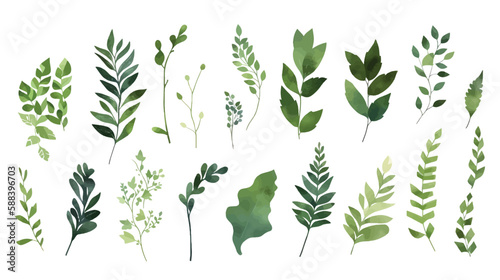  A Branch, Limb, Leaf, Leaves, of Grenn Tropical Tree (Fern, Eucalyptas, Herbs and Others Foliage) in Set of Watercolor Vector Style