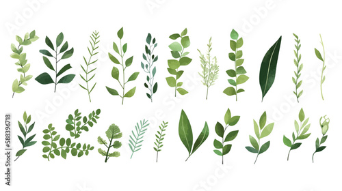  A Branch  Limb  Leaf  Leaves  of Grenn Tropical Tree  Fern  Eucalyptas  Herbs and Others Foliage  in Set of Watercolor Vector Style