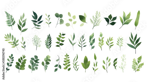  A Branch  Limb  Leaf  Leaves  of Grenn Tropical Tree  Fern  Eucalyptas  Herbs and Others Foliage  in Set of Watercolor Vector Style