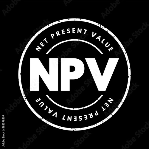 NPV Net Present Value - the cash flows at the required rate of return of your project compared to your initial investment, acronym text stamp