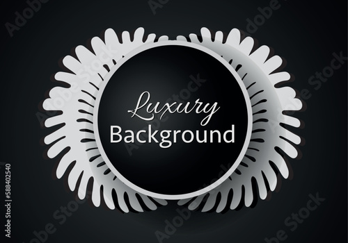 Elegant banner with intricate, parallel white lines on a dark background. Vector pattern, abstract geometric.