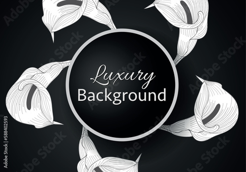 Elegant banner with intricate, parallel white lines on a dark background. Vector pattern, abstract geometric.