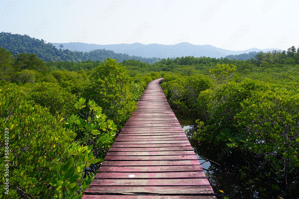 Obraz premium wooden bridge in the forest