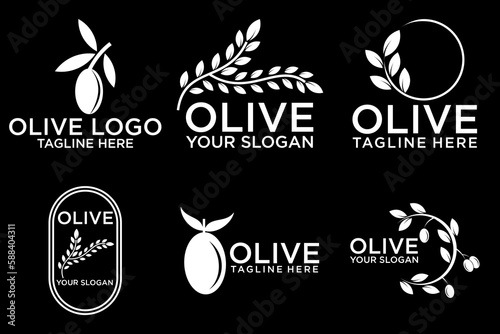 Olive tree logo. Extra virgin olive oil label icon. Tree of life symbol. Organic branch brand identity