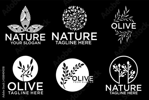 Olive tree logo. Extra virgin olive oil label icon. Tree of life symbol. Organic branch brand identity