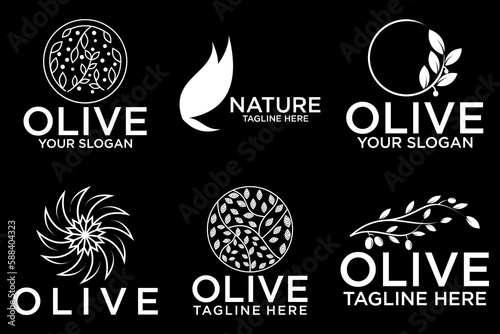 Olive tree logo. Extra virgin olive oil label icon. Tree of life symbol. Organic branch brand identity