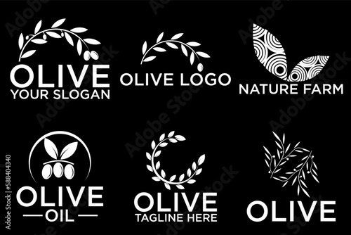 Olive tree logo. Extra virgin olive oil label icon. Tree of life symbol. Organic branch brand identity