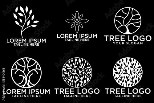 Olive tree logo. Extra virgin olive oil label icon. Tree of life symbol. Organic branch brand identity