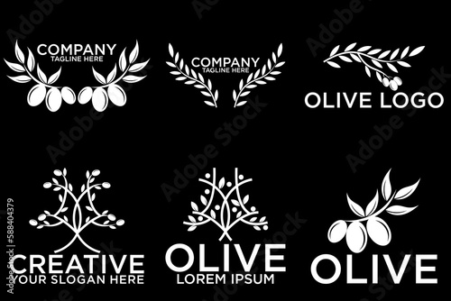 Olive tree logo. Extra virgin olive oil label icon. Tree of life symbol. Organic branch brand identity