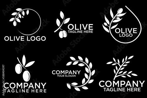 Olive tree logo. Extra virgin olive oil label icon. Tree of life symbol. Organic branch brand identity