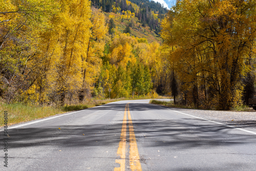 Obraz premium road in autumn forest