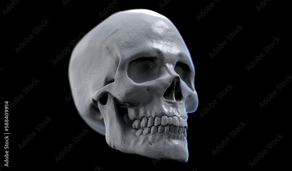 3d illustration of a human skull with the dark background. A perspective point of view. 3d illustration of a human skull with the dark background. A perspective point of view.