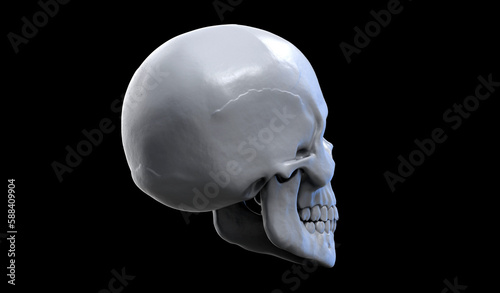 3d illustration of a human skull with the dark background. Back side view.
