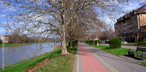 embankment in springtime , naked trees on the street