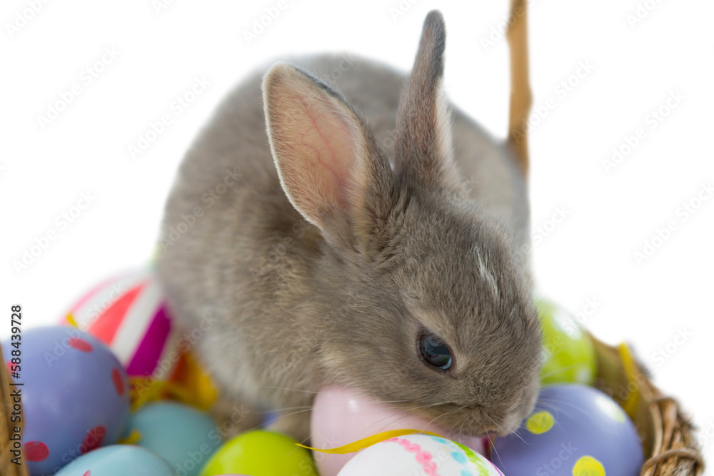 Naklejka premium Bunny over colorful Easter eggs