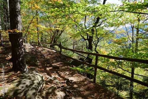 Dovbush path - route through wooded mountain slopes near Yaremche, Ukraine photo